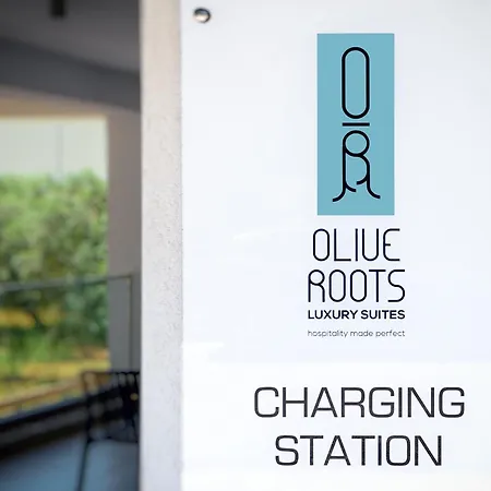 Olive Roots ホテル Skala Rachoni (Thasos)