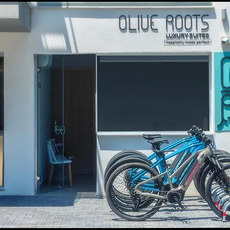 ホテル Olive Roots Skala Rachoni (Thasos)