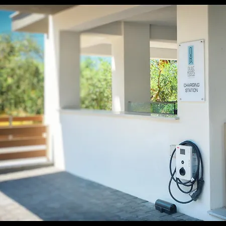 Olive Roots ホテル *