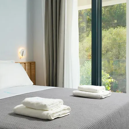 Olive Roots Skala Rachoni (Thasos)