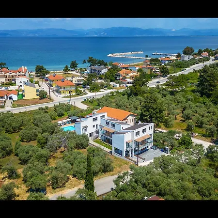 ホテル Olive Roots