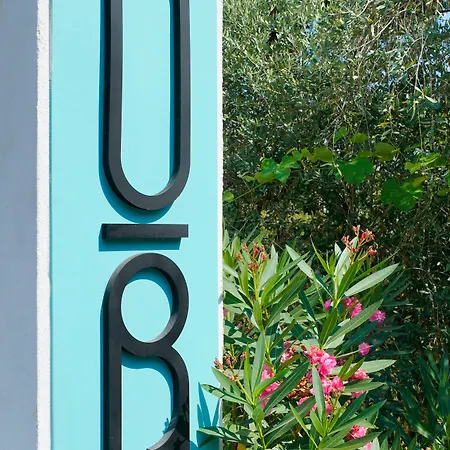 Olive Roots ホテル