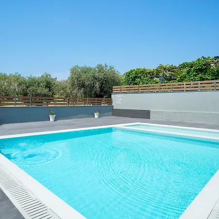 Olive Roots * Skala Rachoni (Thasos)