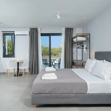 Olive Roots * Skala Rachoni (Thasos)