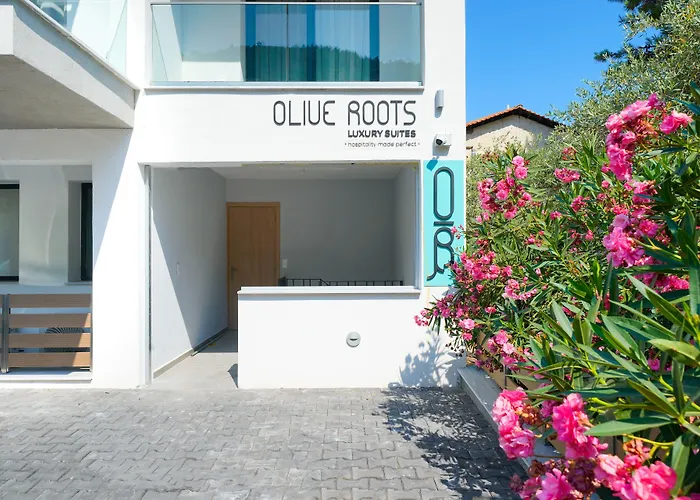 Olive Roots Szálloda