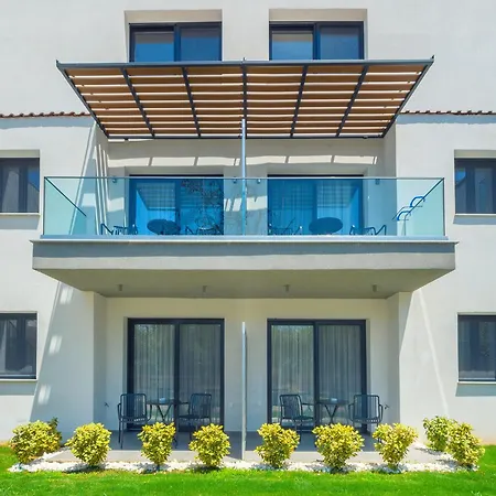 Olive Roots * Скала-Рахониу