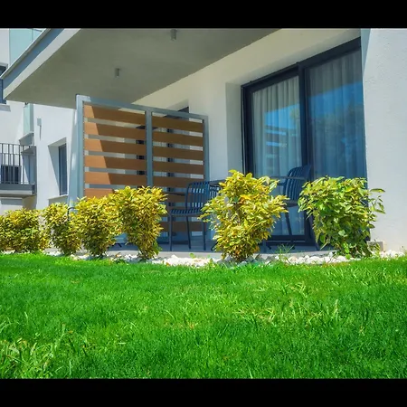 Отель Olive Roots