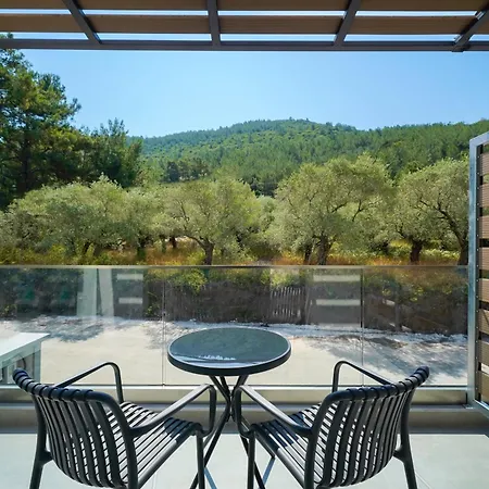 Отель Olive Roots *