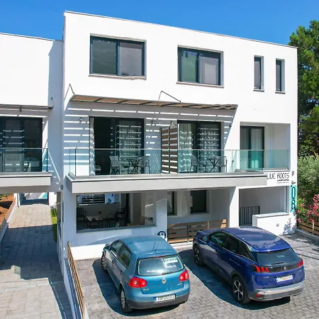 Olive Roots Отель