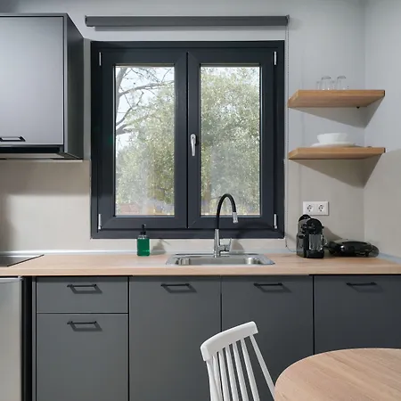 Olive Roots * Скала-Рахониу