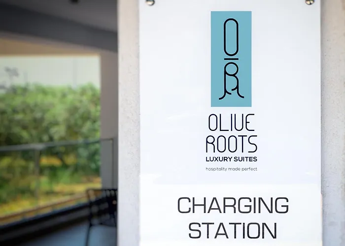 Olive Roots 酒店 Skala Rachoni (Thasos)