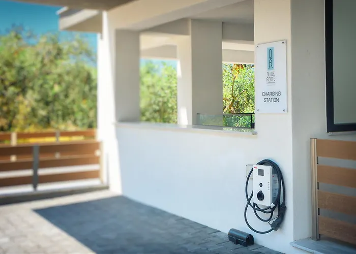 Olive Roots 酒店 *