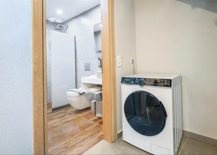 Olive Roots Skala Rachoni (Thasos)