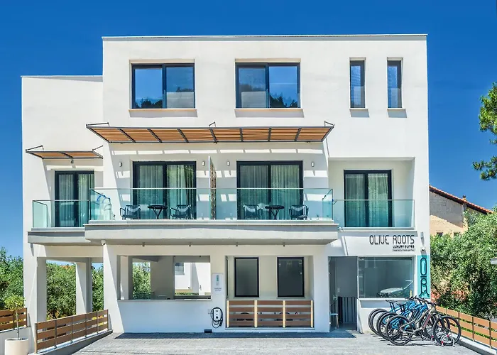 Olive Roots 酒店 Skala Rachoni (Thasos)