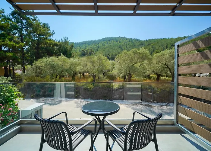 酒店 Olive Roots *