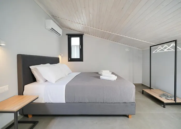 Olive Roots * Skala Rachoni (Thasos)