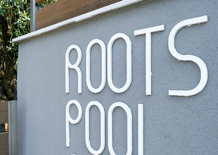 酒店 Olive Roots *