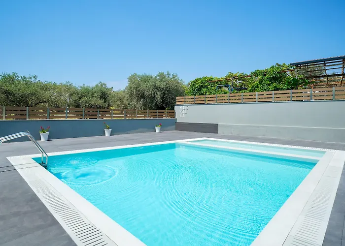 Olive Roots * Skala Rachoni (Thasos)