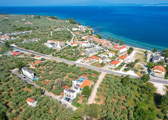 酒店 Olive Roots *